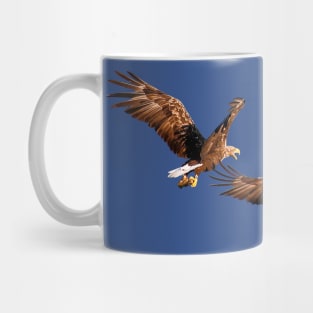 White tailed Eagle Mug